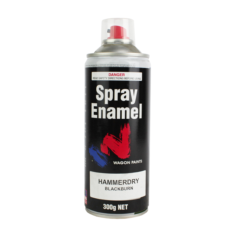 Spray Paint Touch Up Enamel Blackburn/Charcoal 350ml