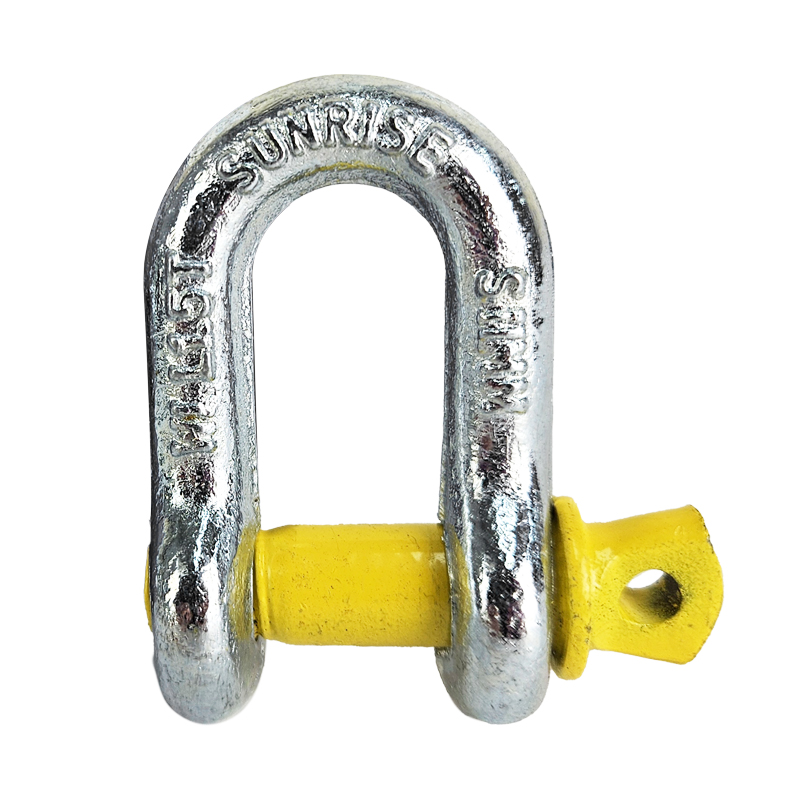 D shackled 3_Website