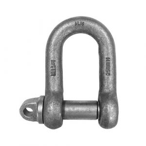 Shackle Grade M Dee Self-Coloured